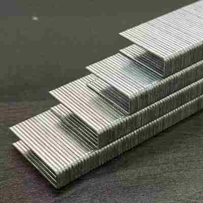 16 Gauge Electrogalvanized Furniture Staples Heavy Duty Fixing