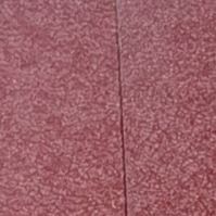 G450 Precoated a enduit la tôle d'une première couche de peinture d'acier galvanisée