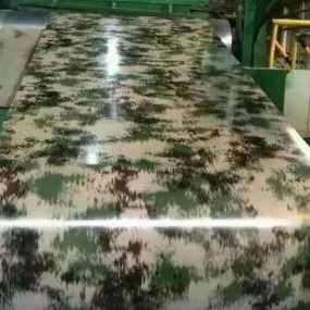 La décoration CGCH imprimant la couleur de PPGI a enduit des feuilles 800mm